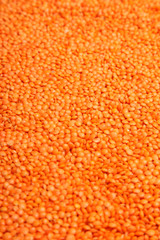 Red Lentils