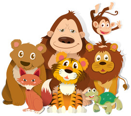Different kind of wild animals