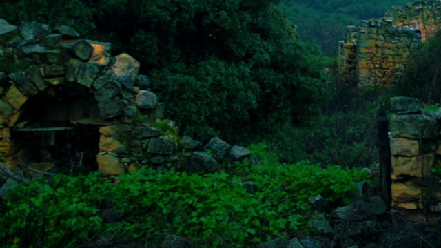 Royalty Free Stock Video Footage of overgrown ruins at Bar'am shot in Israel at 4k with Red.