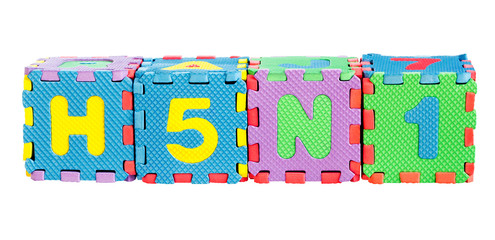 Jigsaw box with H5N1 alphabets