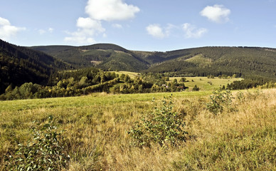 Fototapeta na wymiar autumn panorama of Kralicky Sneznik mountains with meadow