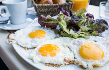 Prepared Egg - prepared egg under the sun