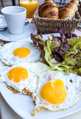 Prepared Egg - prepared egg under the sun