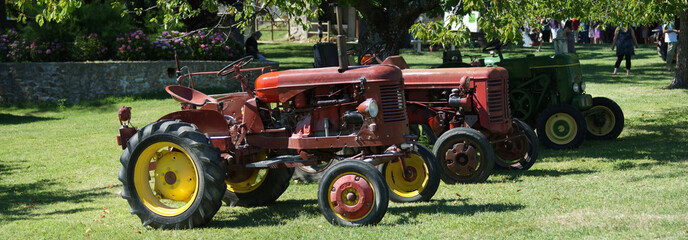 Fototapeta premium Tracteurs anciens