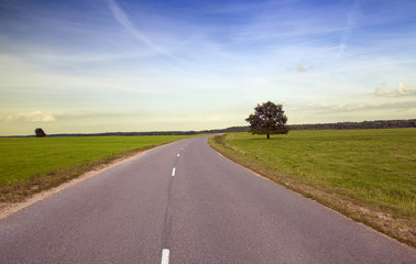 Spring road ,  countryside  