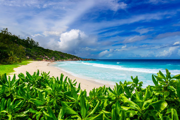 Tropical beach. The Seychelles