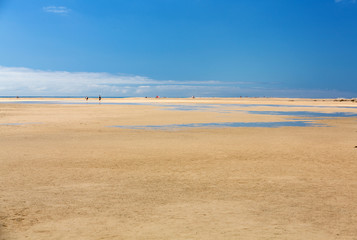 Fototapeta na wymiar Beach Playa de Sotavento, Canary Island Fuerteventura, Spain