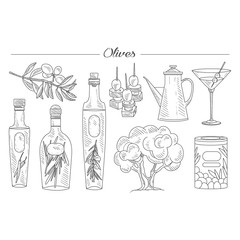 Olive Oil and Branch Handdrawn Vector Set