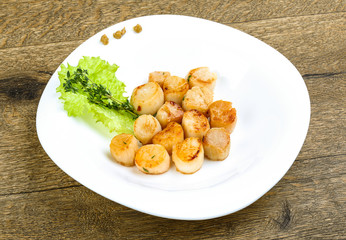 Scallops