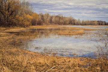 Great Lakes Wetlands. The beauty of a rare Great Lakes coastal wetland habitat on the shores of Lake Huron.