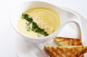 Cream soup cheese on white plate studio shot