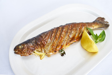 Trout baked with herbs on white plate studio shot