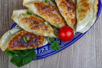 Gyoza