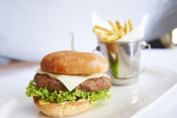 Burger with fries on white plate studio shot
