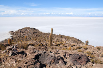 Isla del Pescado na Salar de Uyuni w Boliwii © sly10000