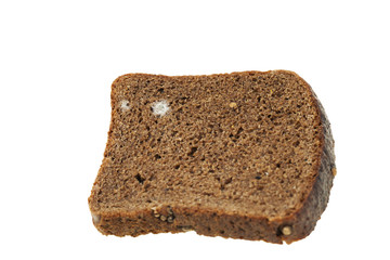 bread mold. close-up  
