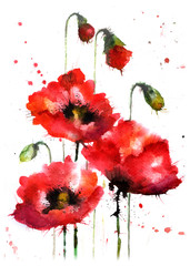 
Watercolor hand-drawn poppy flowers
- 100185988