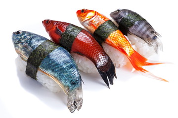 Uncooked  fish sushi on a white bachkround