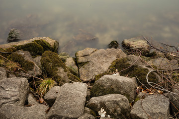 Steine in der Donau
