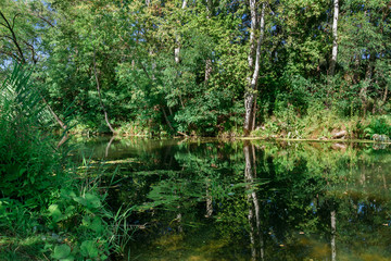 River among the trees