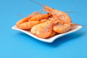 prawn Shrimp