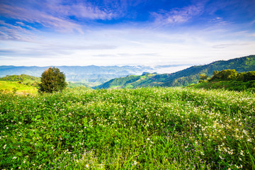 Landscape of the mountain