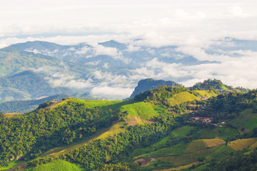 Fog on mountain in tropical rainforest