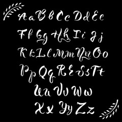Fototapeta na wymiar Vector hand drawn alphabet