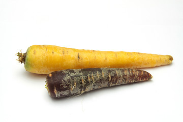 carottes anciennes 15012016