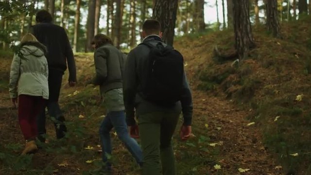 Group of men and women are climbing up a hill in a forest in autumn. Shot on RED Cinema Camera.