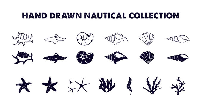 Hand drawn nautical illustrations set.
