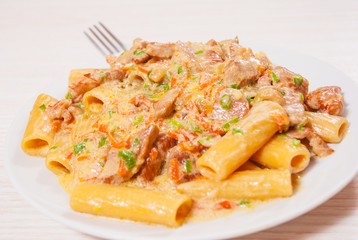 pasta rigatoni with meat and sauce