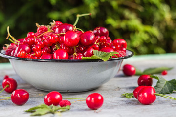 Fruit bowl full cherries currants