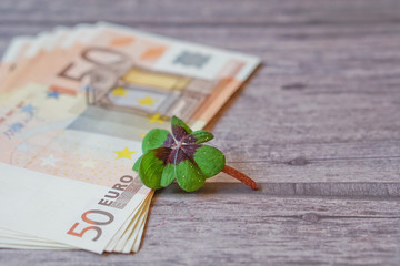 Geld und Glücksklee