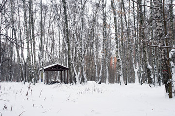 Fototapeta na wymiar Alcove between trees covered with snow