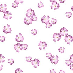 Fototapeta na wymiar Vector card with pastel pink roses