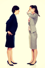 Businesswoman screaming on her partner.