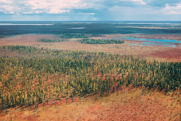 Tundra, aerial photography.