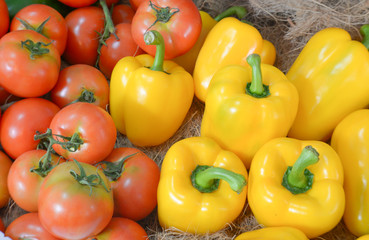 Yellow Sweet pepper,Tomato.