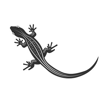 Beautiful  monochrome lizard, lizard silhouette. Vector illustration