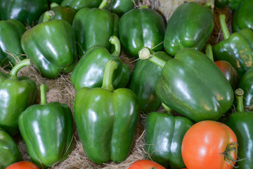 Green Sweet pepper.