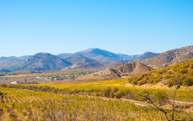 Fototapeta premium Autumn mountain landscape with valley and vineyards