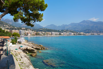 Blue sea and sky of the French riviera coast  with maritime pine