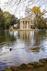 Obraz premium anatre nel laghetto artificiale di villa Borghese Roma
