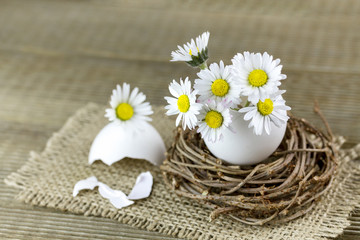 Bouquet of daisies in an eggshell. Shallow depth of field.