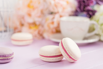 Fototapeta na wymiar Pastel colored macaroons with floral background