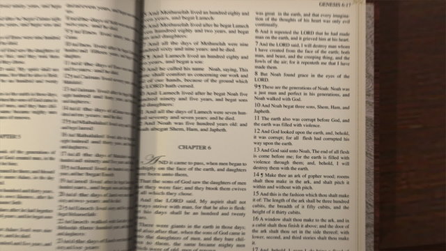 A bible on a desk opens, the pages turn to Noah, and zooms past the words into white light.