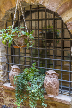 Street decorated with plants and flowers in the historic Italian city of Spello (Umbria, Italy)
