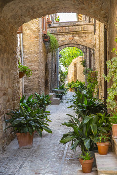 Street decorated with plants and flowers in the historic Italian city of Spello (Umbria, Italy)