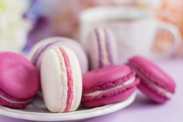 Colorful macaroons soft focus
